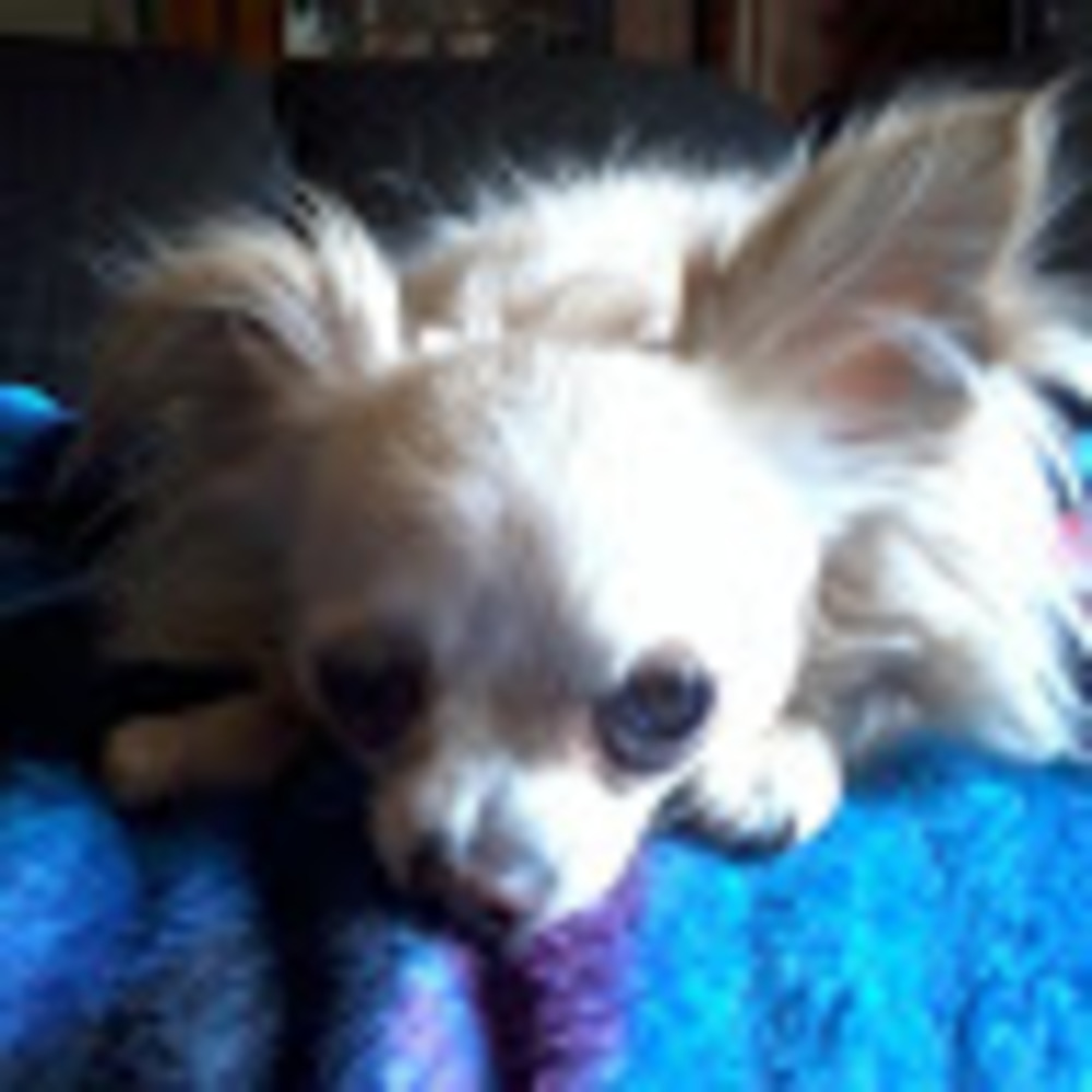 Meet your Posher, Gab